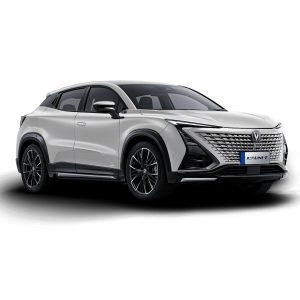 imgi_21_Hee1058d5f0da45c88a8487204d439db5X3