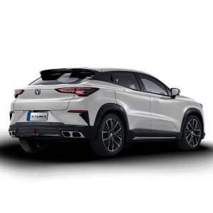 imgi_23_H0e6bdf414d2443eab6314455bdab8156P4