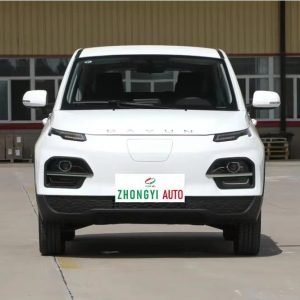 Dayun Yuehu Standard Edition Rhd Electric Electrical EV Chinese Car