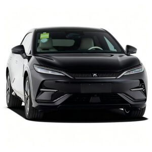 BYD SONG L CHAMPION EDITION 550KM NOBLE MODEL ELECTRIC CAR China Car