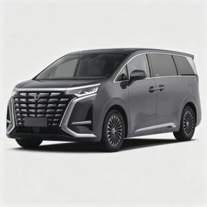 BYD Denza D 9 Electric MPV EV Dual Motor 7-seater Electric Car Hot Selling China Car
