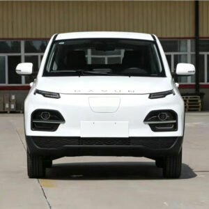 Dayun Yuehu Standard Edition Rhd Electric Electrical EV Chinese Car